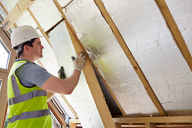 Best Residential Insulation in Elida, OH