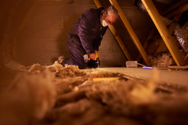 Best Cellulose Insulation in Elida, OH